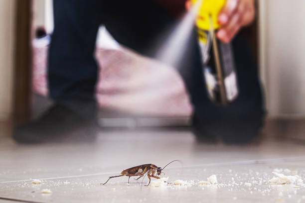 Best Residential Pest Control  in New Providence, NJ