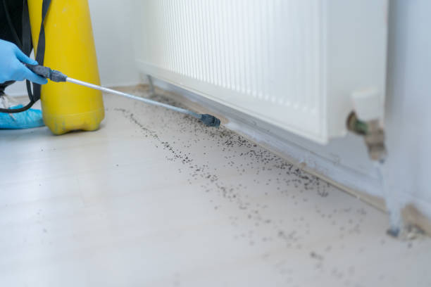 Pest Prevention Services in New Providence, NJ